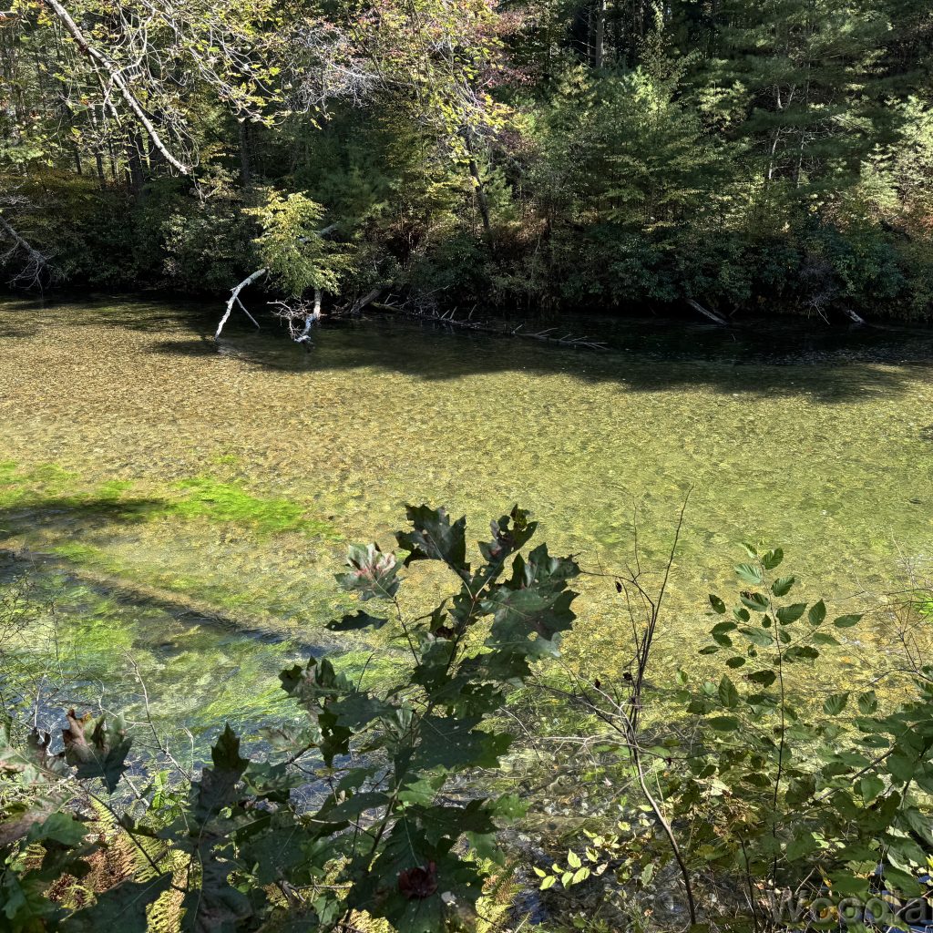 2025-09-28_123133_00