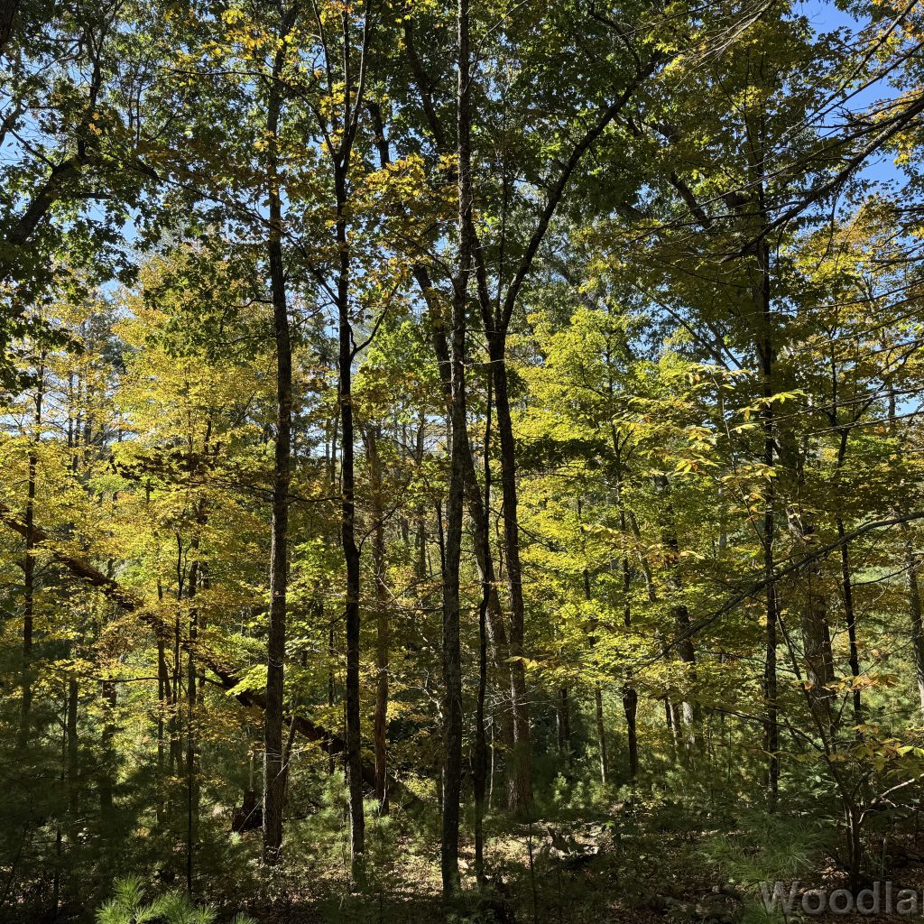 2025-09-28_125945_00