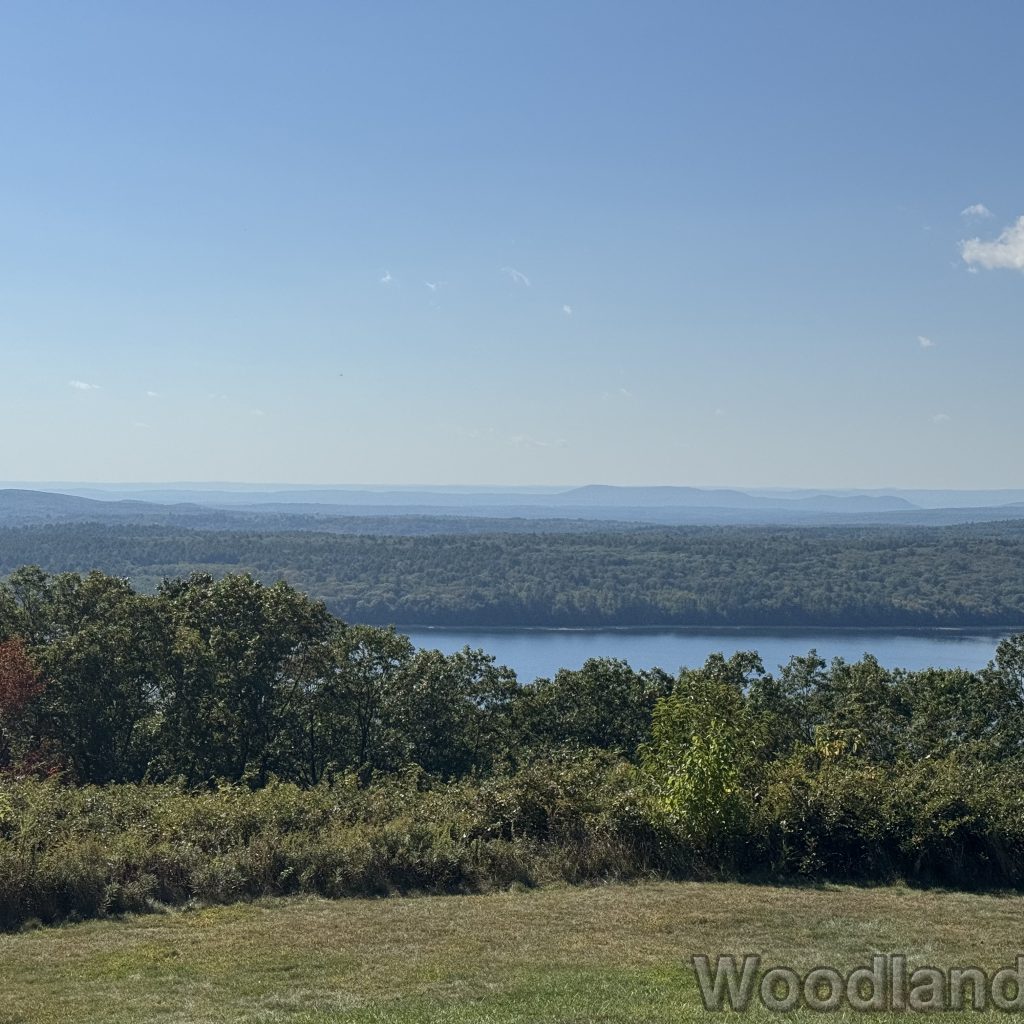 2025-09-28_144354_00