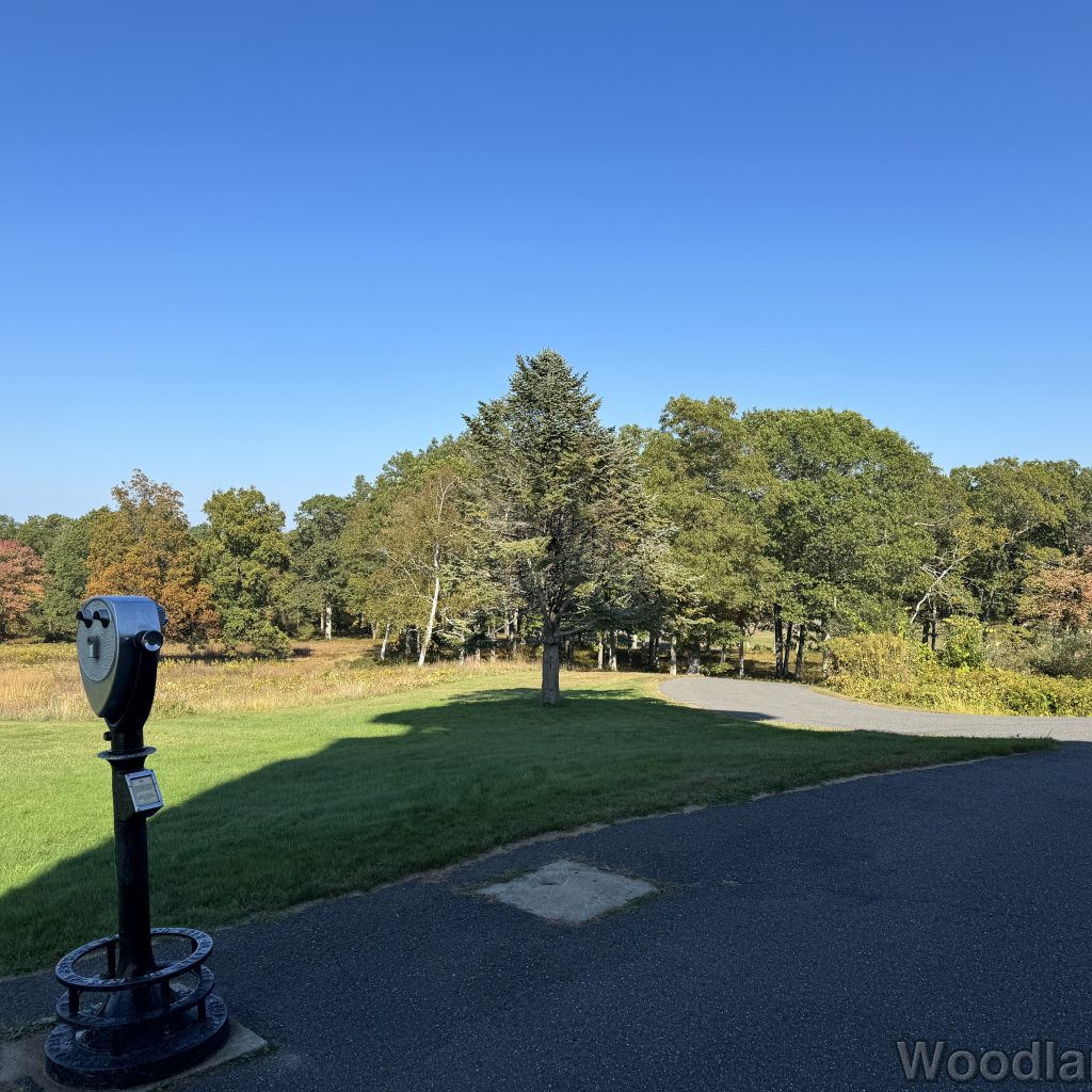 2025-09-28_144427_00