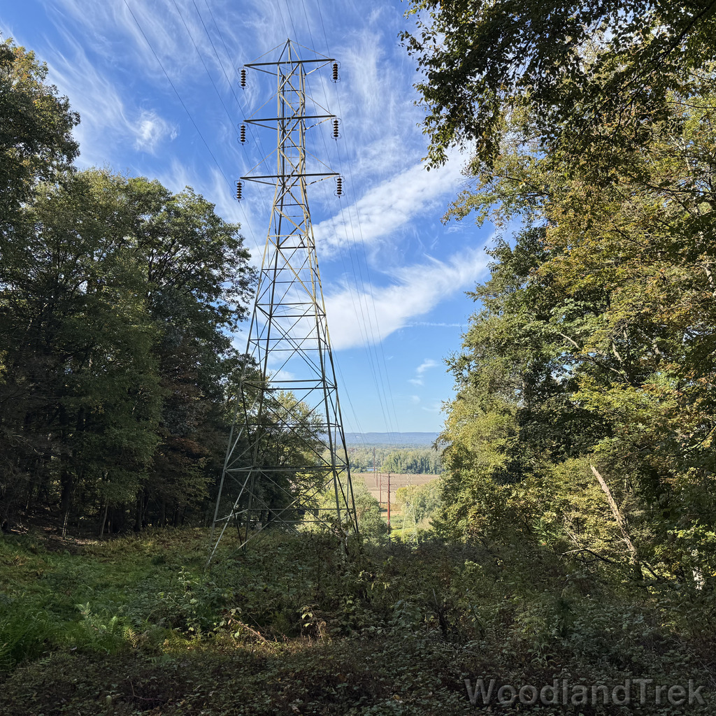 2025-10-03_105858_00