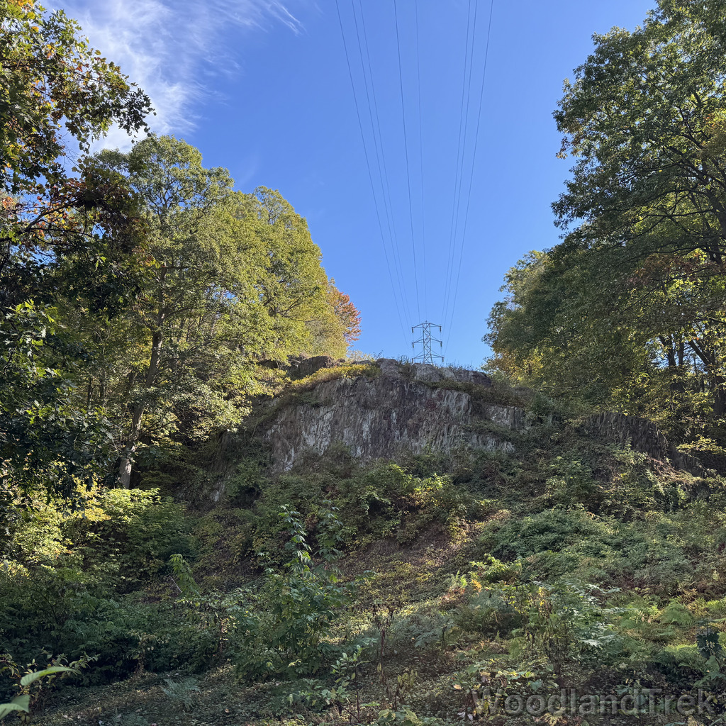 2025-10-03_105908_00