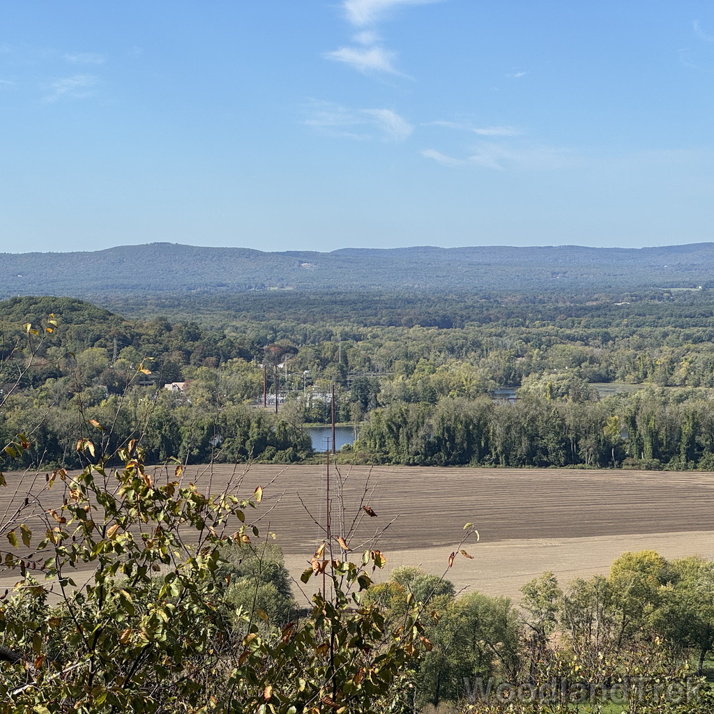 2025-10-03_110739_00