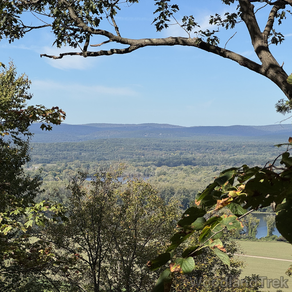 2025-10-03_111050_00