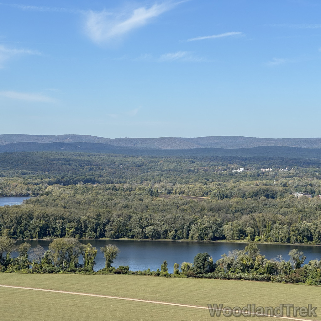 2025-10-03_111415_00