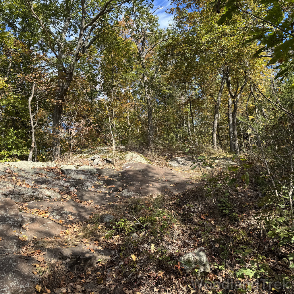 2025-10-03_111934_00