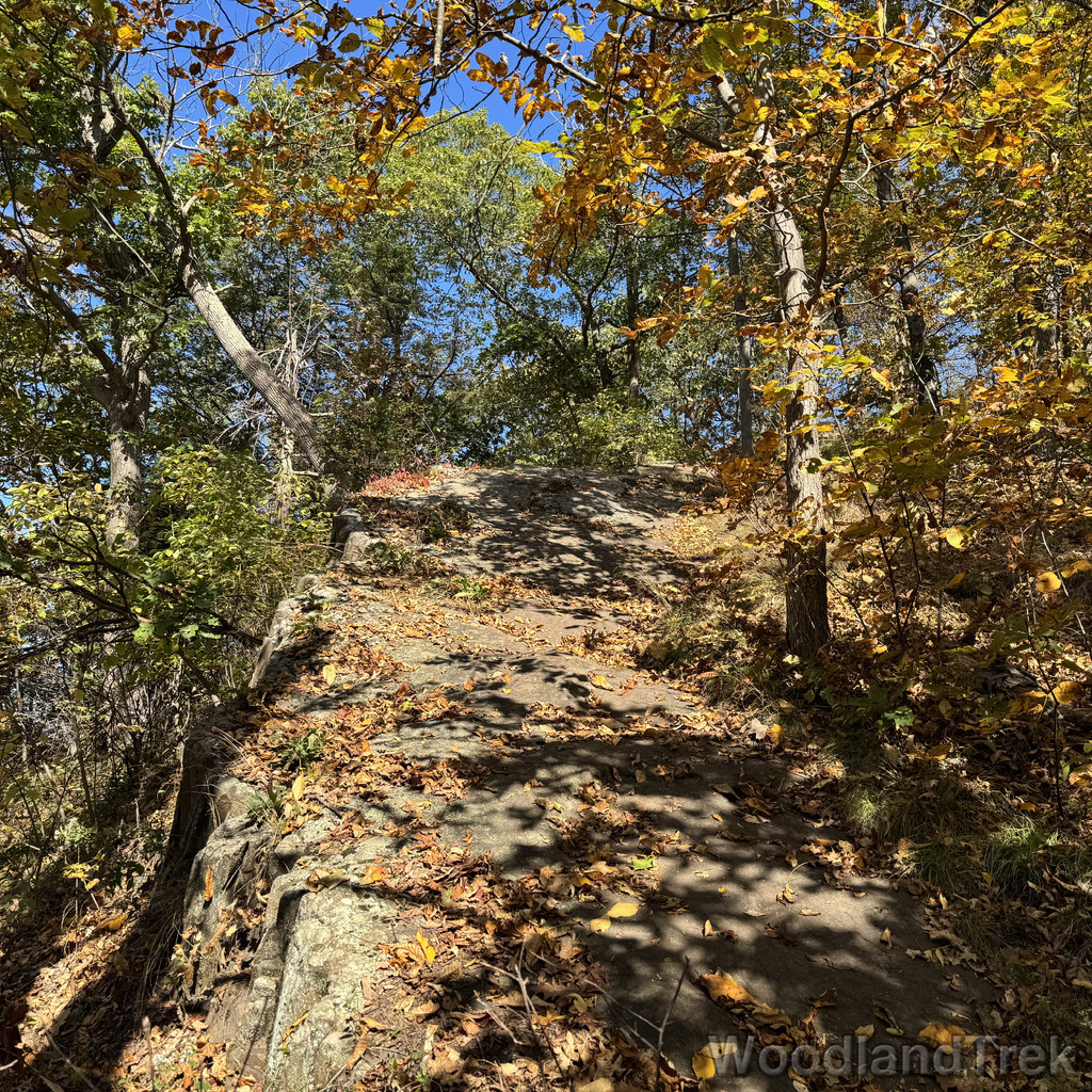 2025-10-03_113604_00