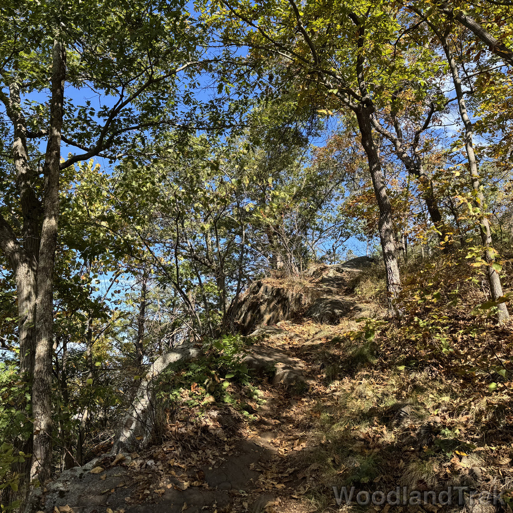 2025-10-03_113650_00