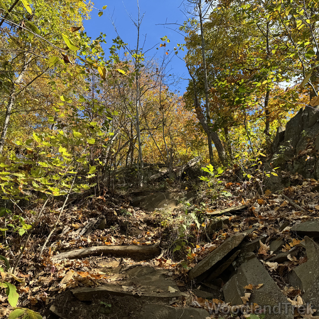 2025-10-03_115127_00