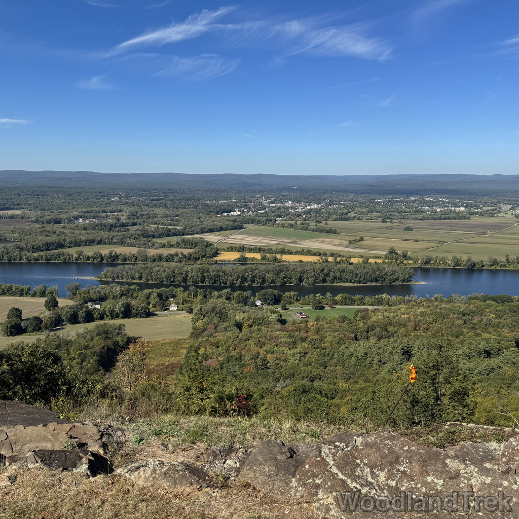 2025-10-03_115506_00