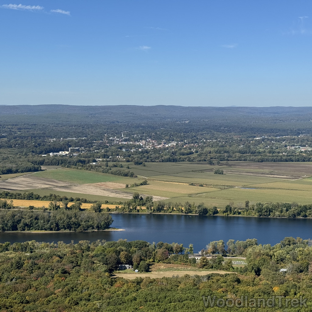 2025-10-03_121408_00