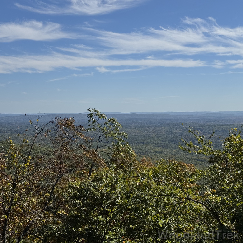 2025-10-03_123005_00