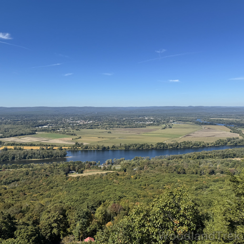 2025-10-03_123611_00