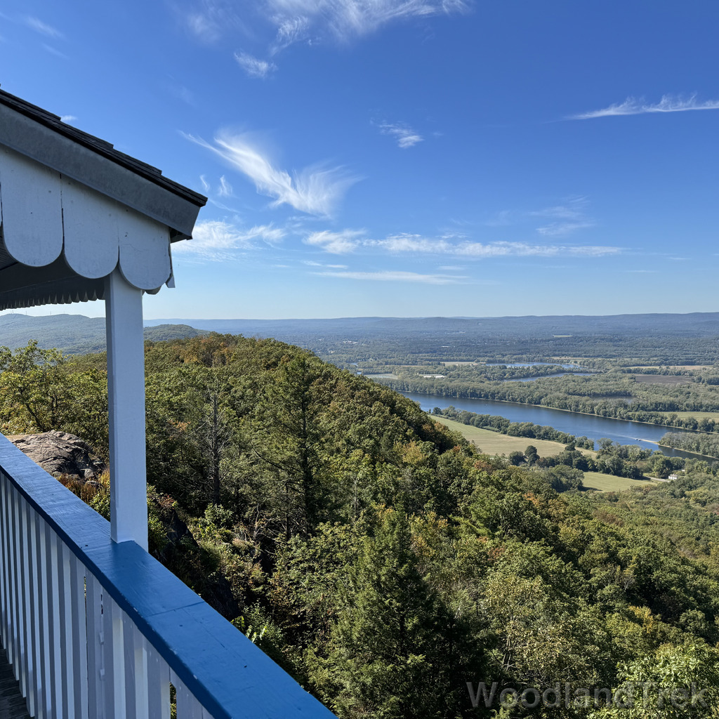 2025-10-03_123617_00