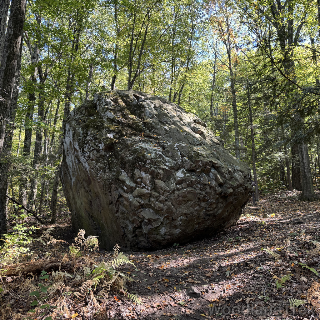 2025-10-03_130118_00