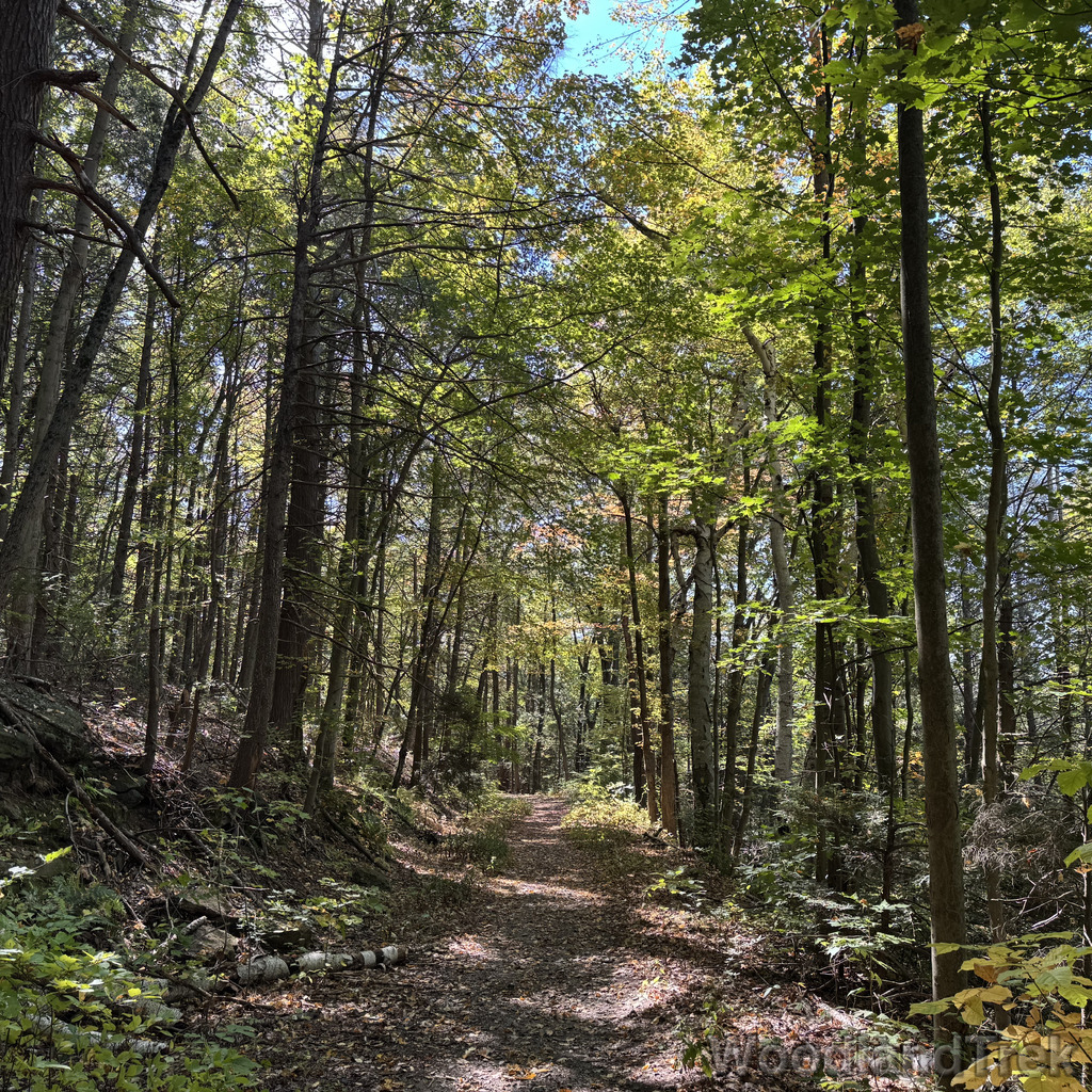 2025-10-03_130744_00