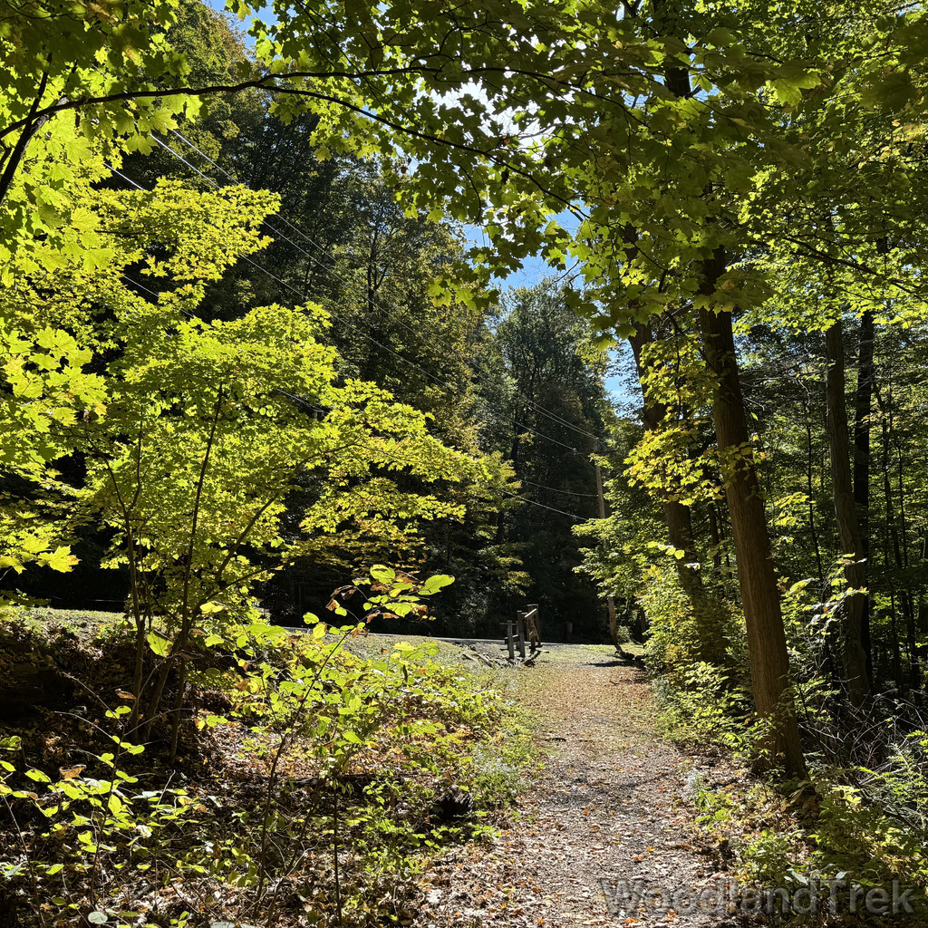 2025-10-03_131045_00