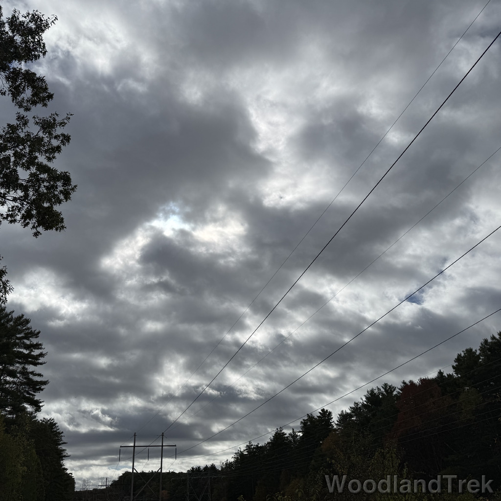 2025-10-11_103833_00