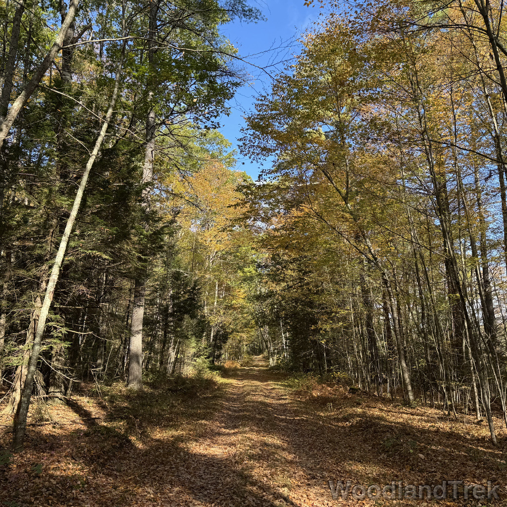 2025-10-11_105807_00