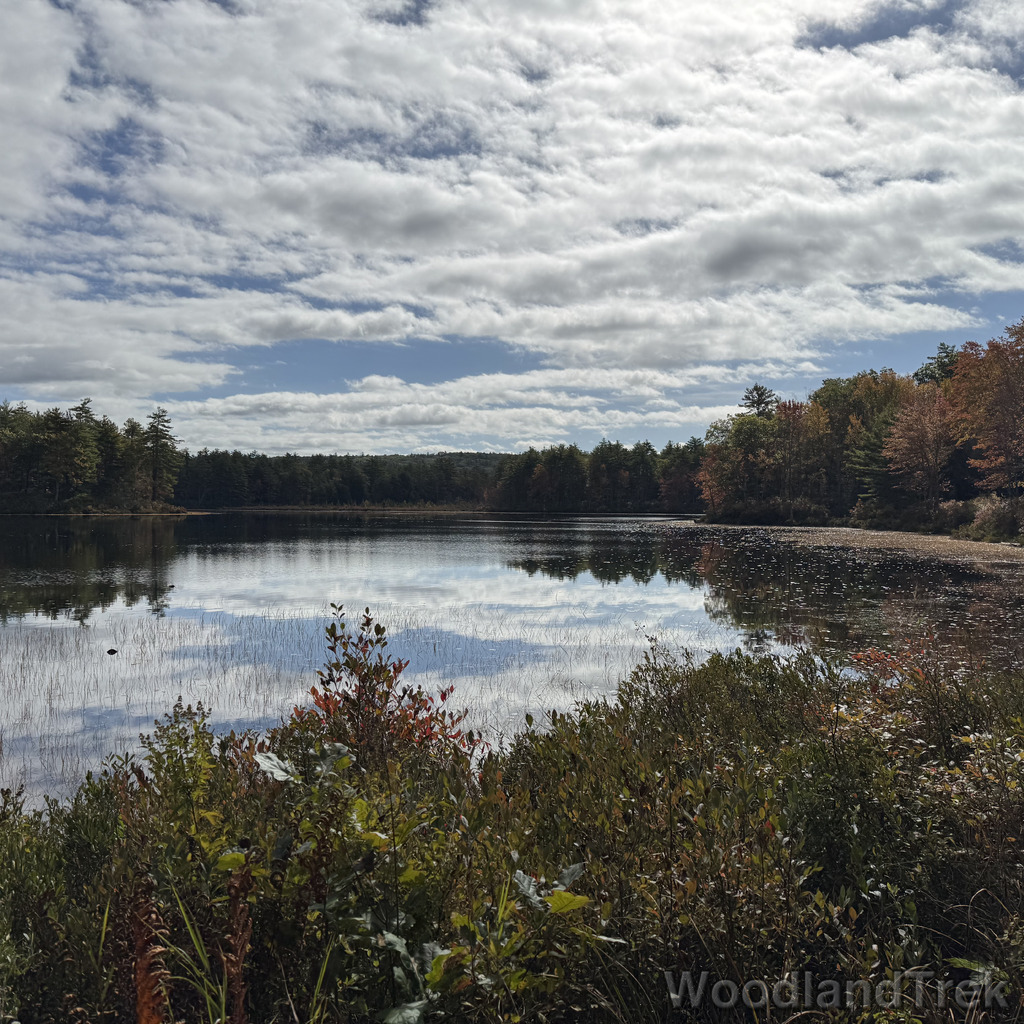 2025-10-11_110405_00