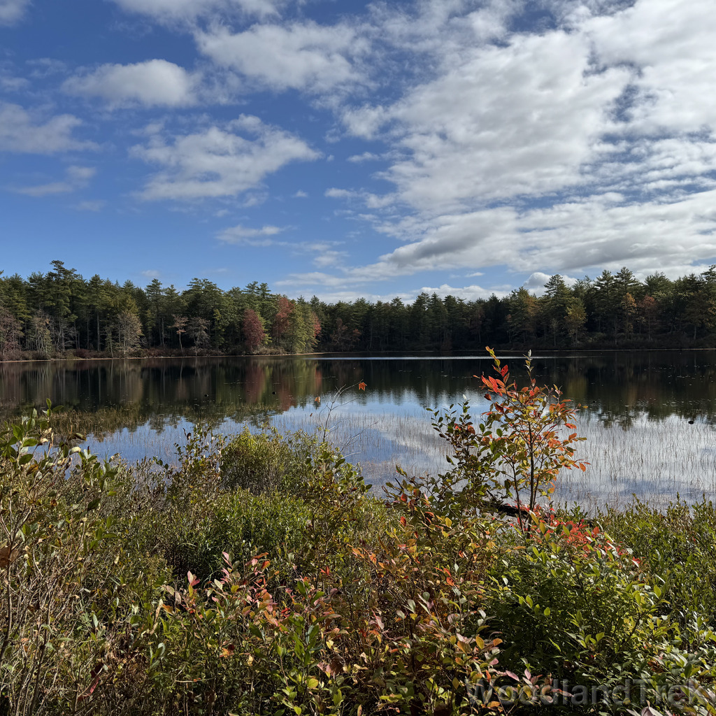 2025-10-11_110437_00