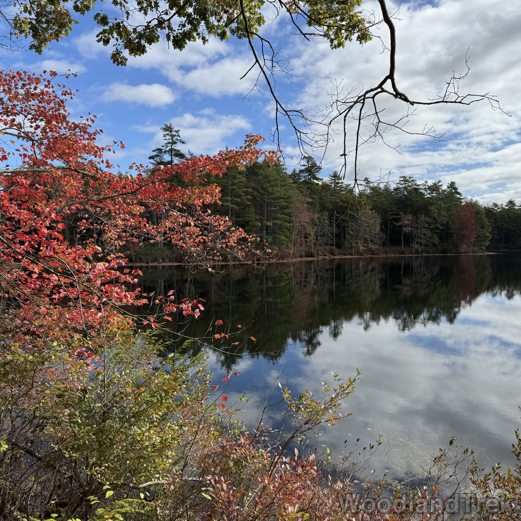 2025-10-11_110614_00