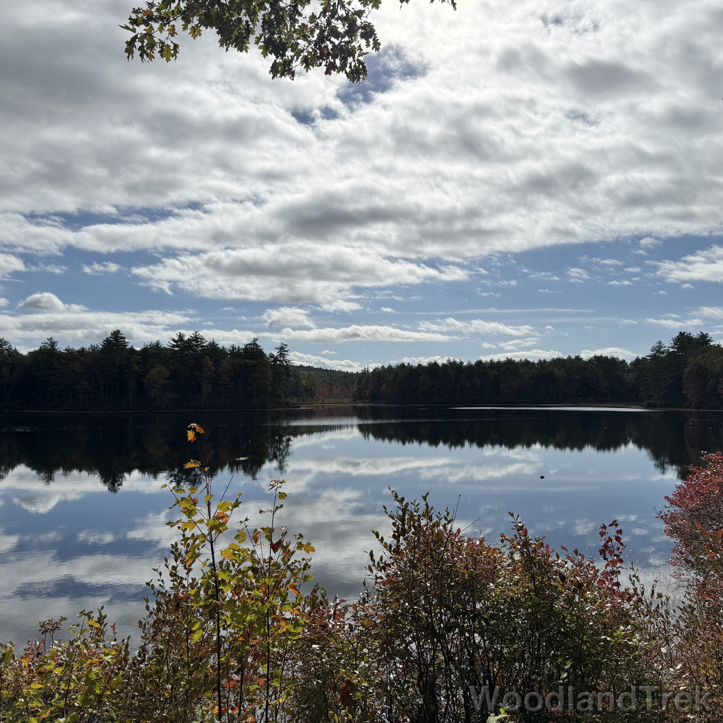 Glassy pond reflecting clouds in a mirror-like surface
