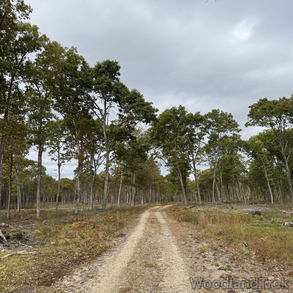 2025-10-11_112352_00