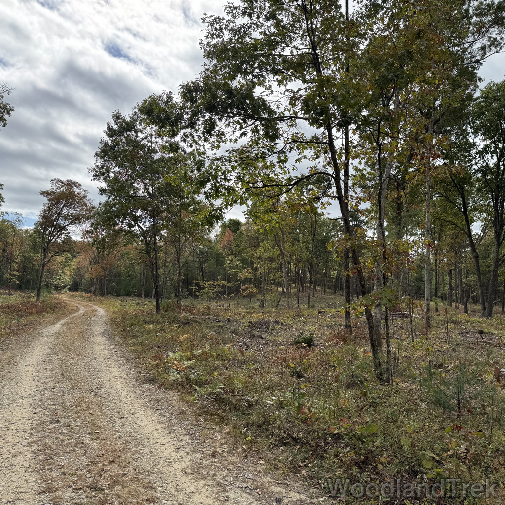 2025-10-11_112359_00