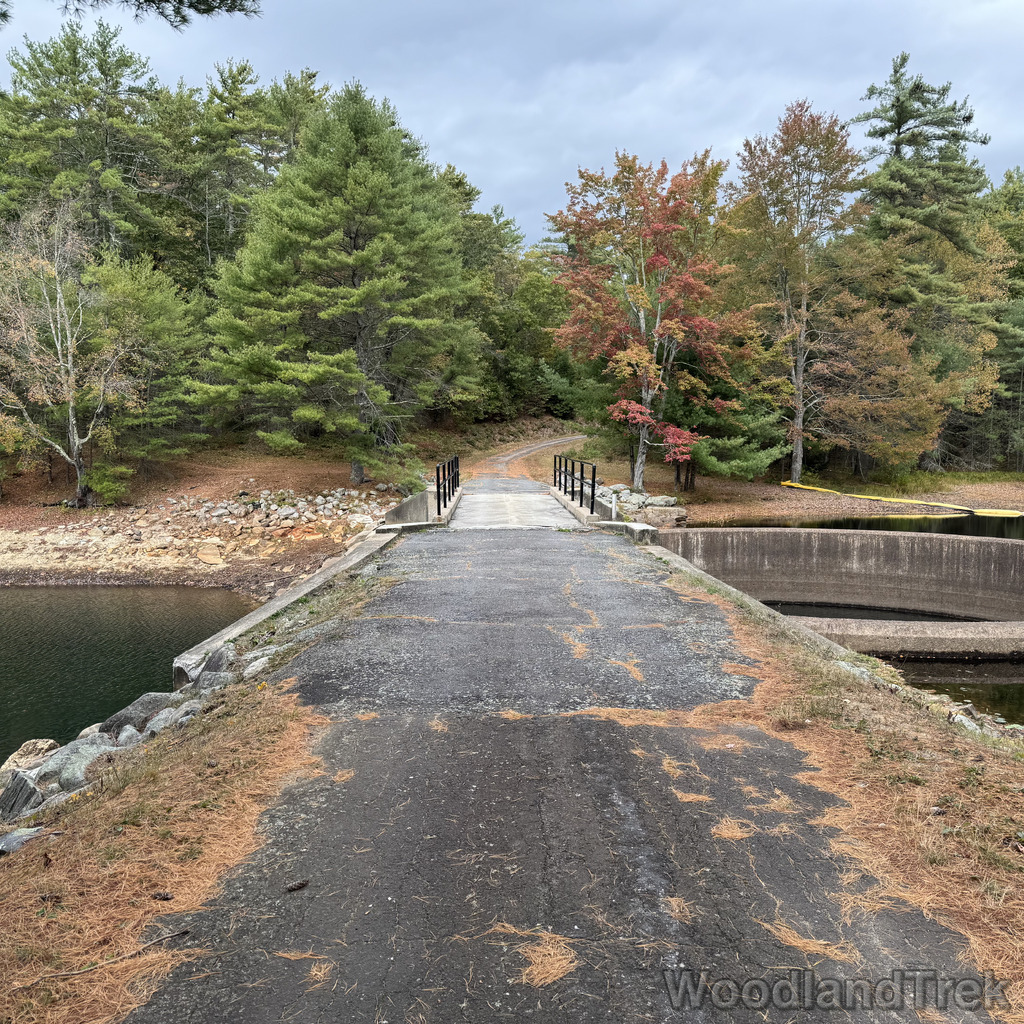 2025-10-11_113308_00