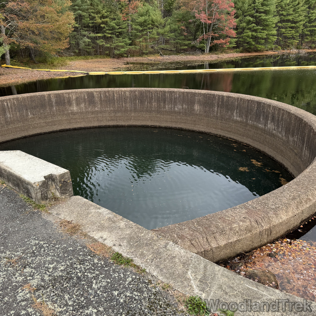 2025-10-11_113327_00