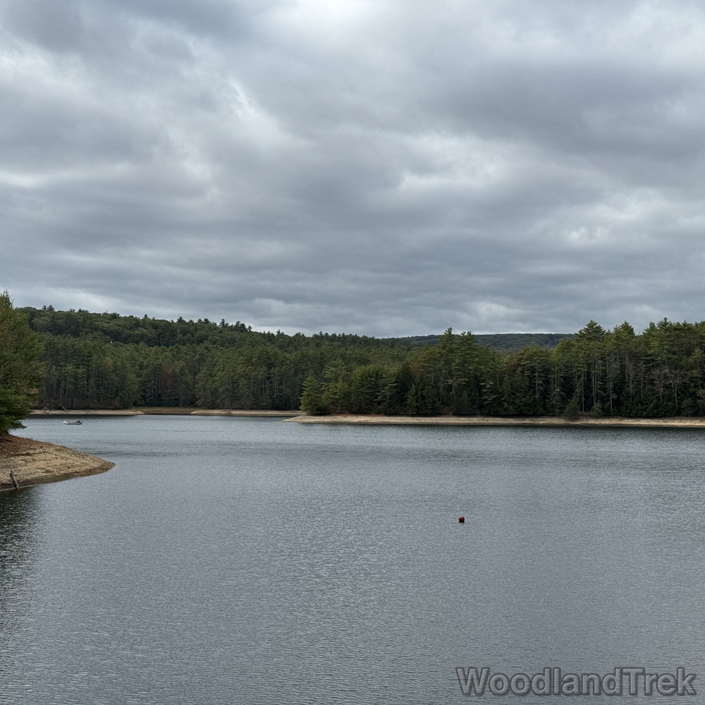 2025-10-11_113426_00