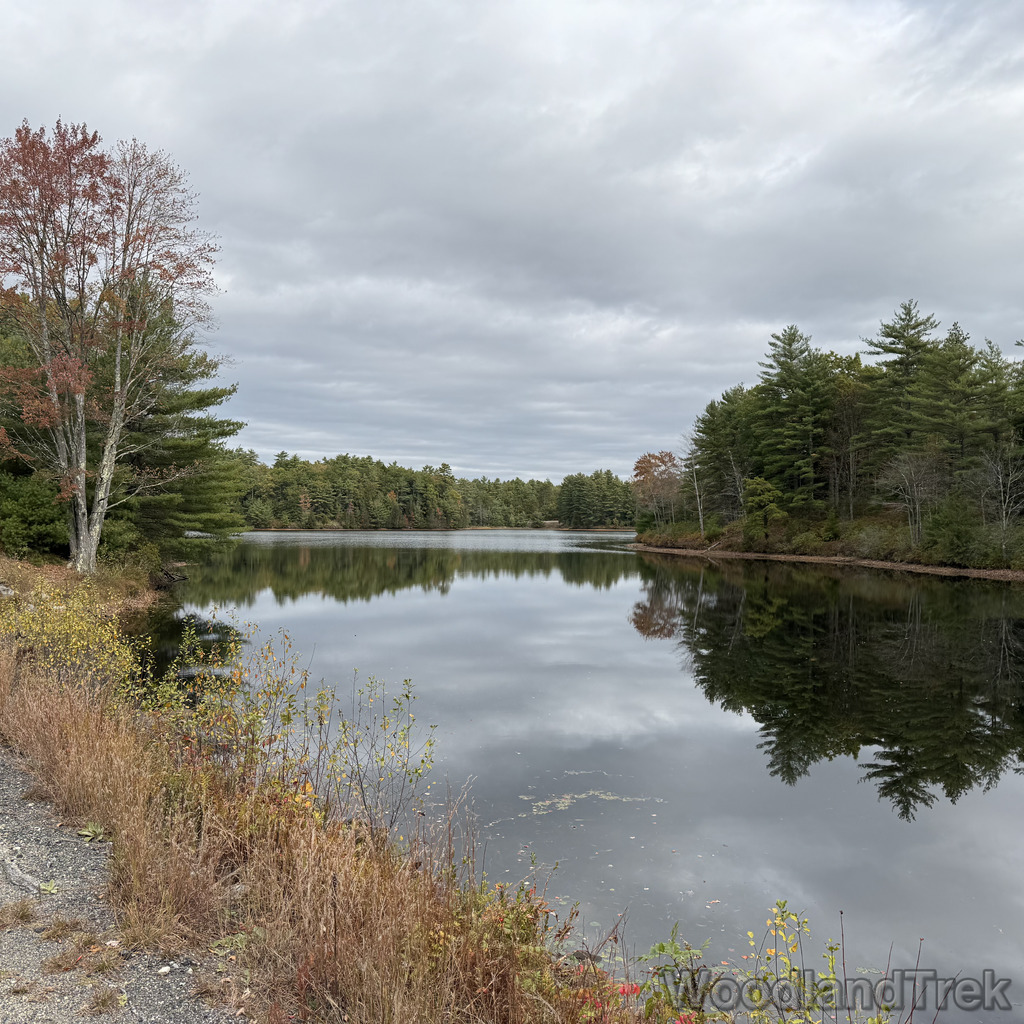 2025-10-11_113752_00