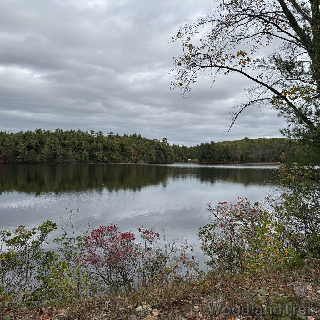 2025-10-11_114148_00