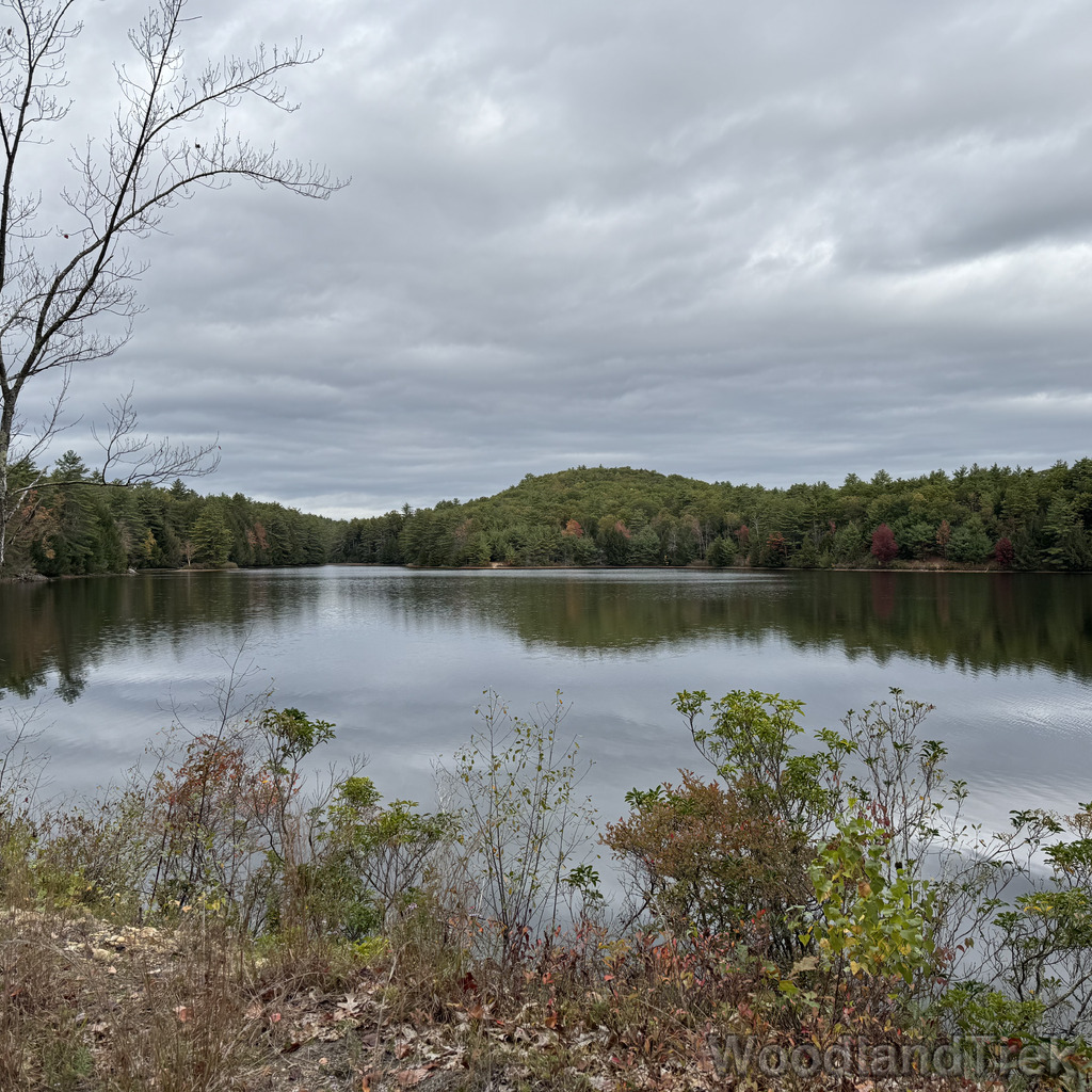 2025-10-11_114151_00