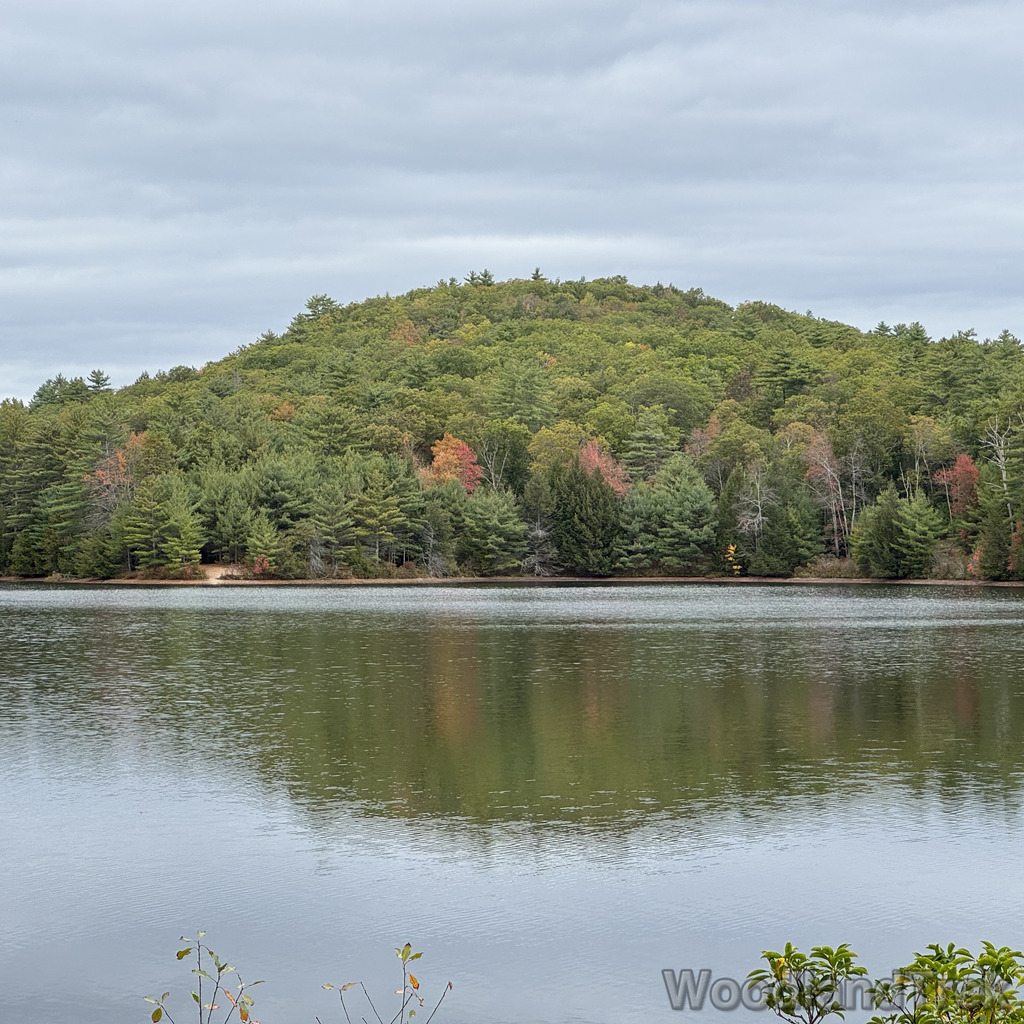 2025-10-11_114155_00