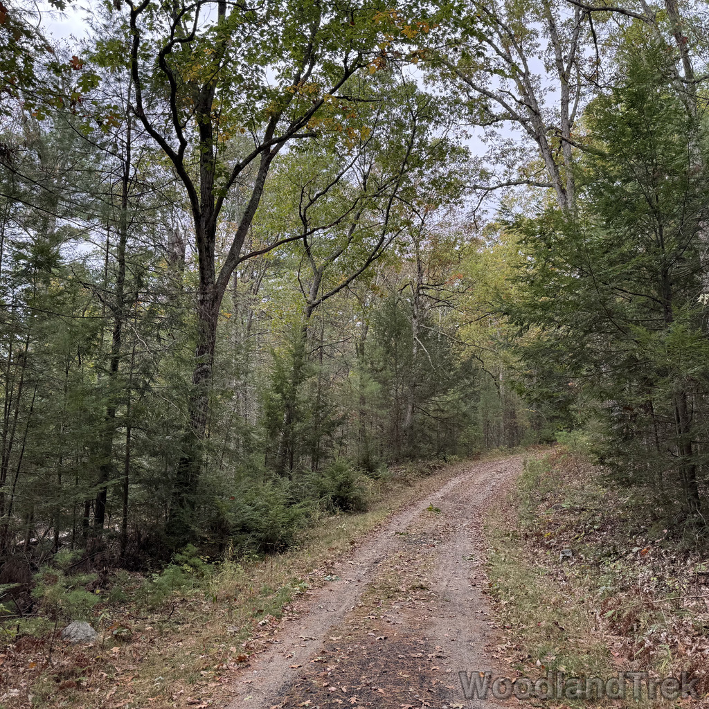 2025-10-11_114617_00