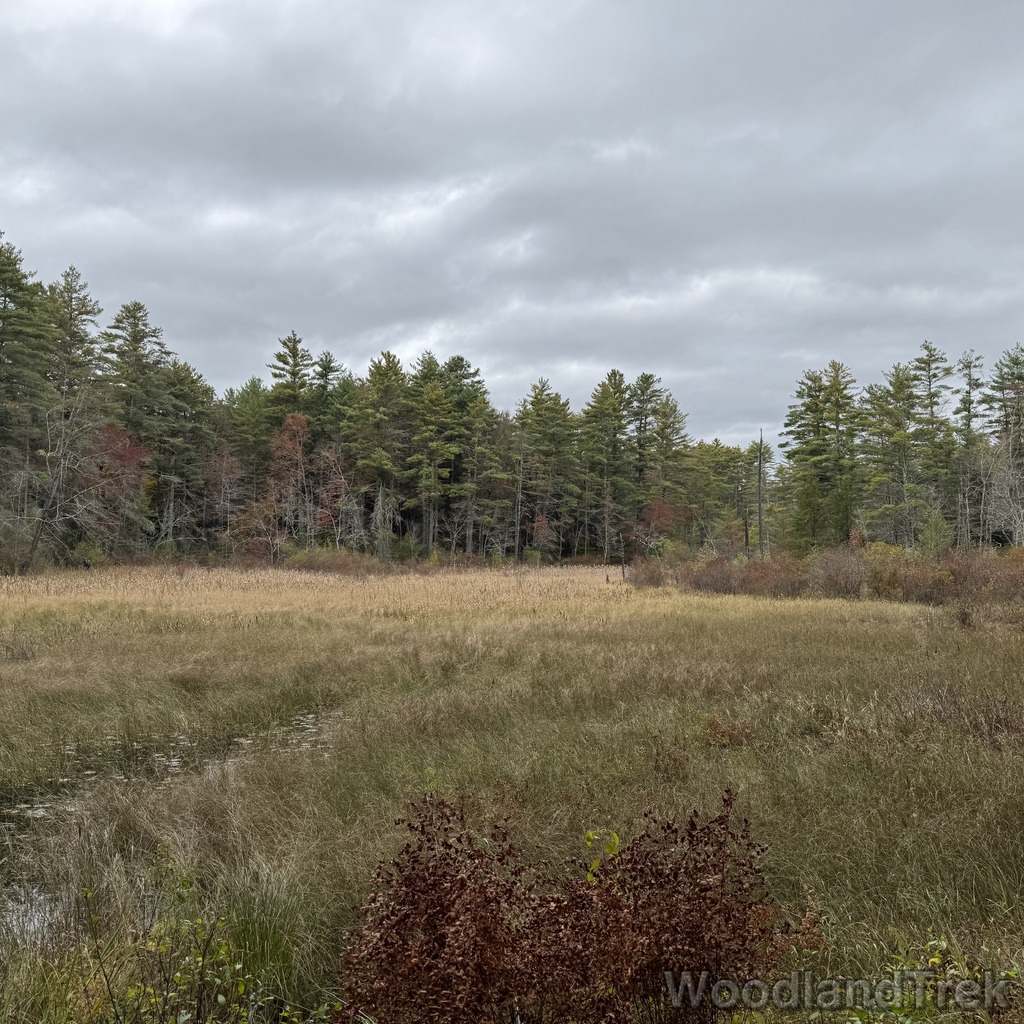 2025-10-11_115518_00