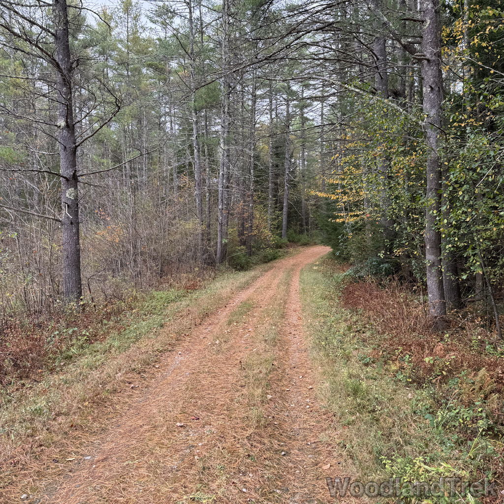 2025-10-11_115521_00