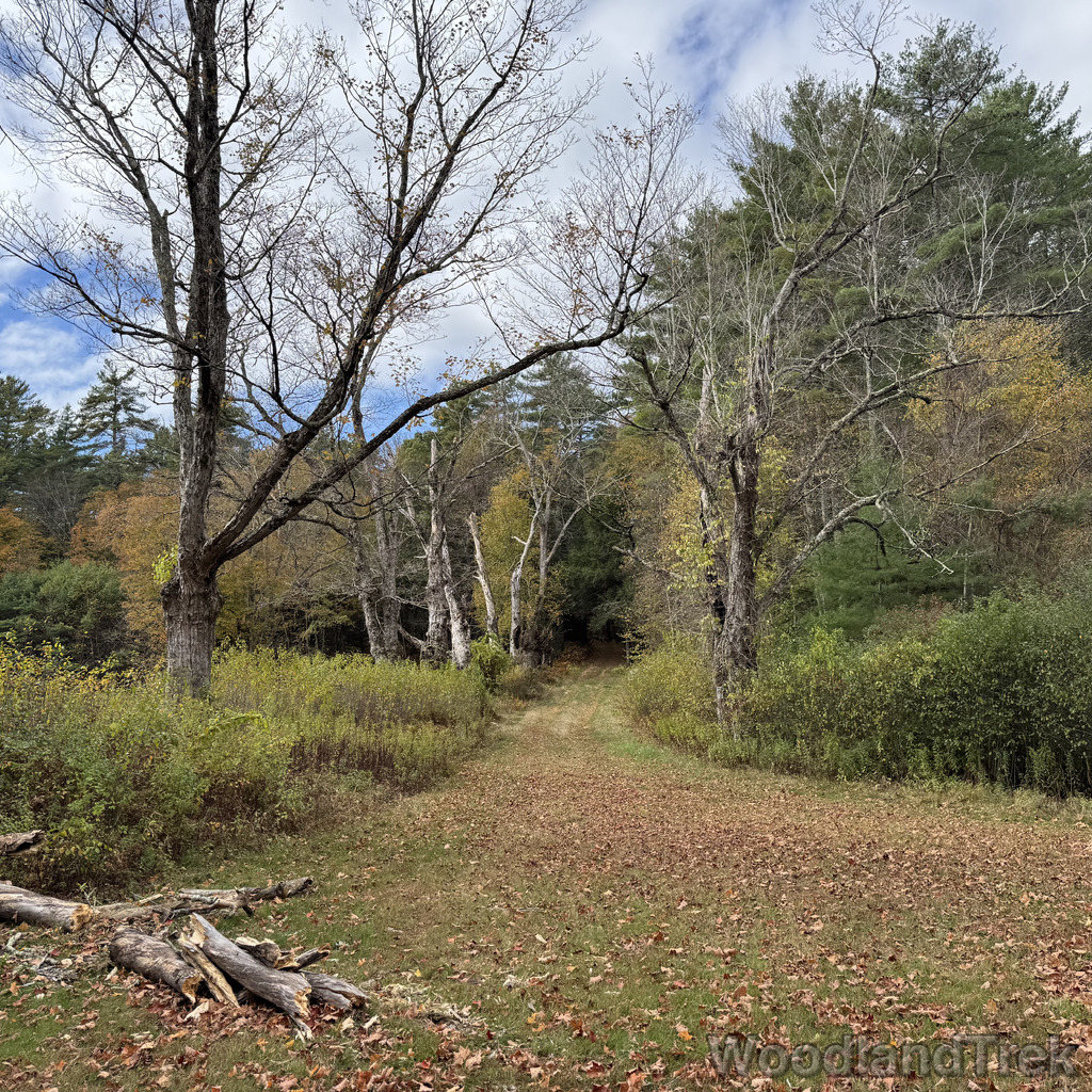 2025-10-11_115921_00