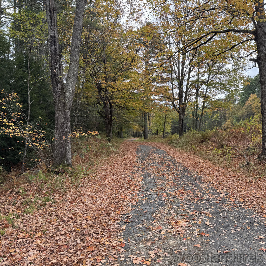 2025-10-11_115924_00