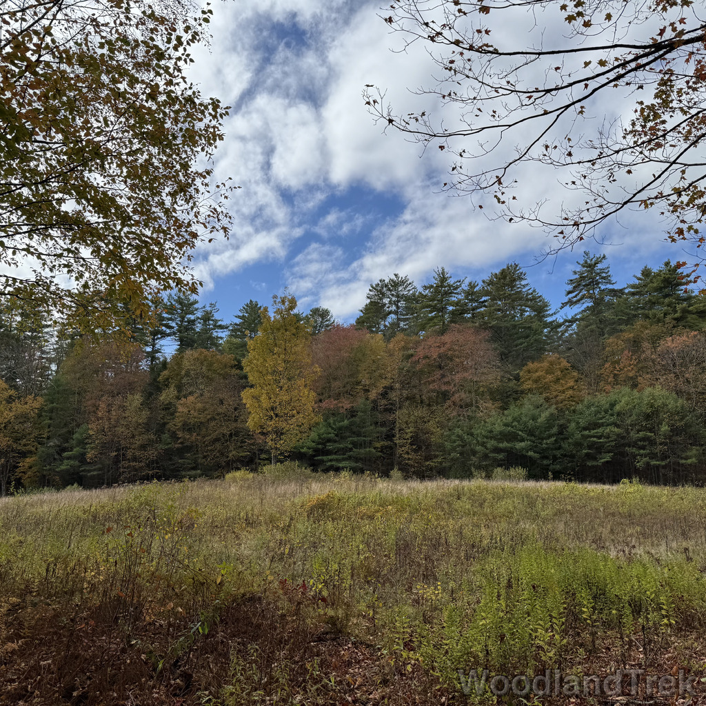 2025-10-11_120001_00