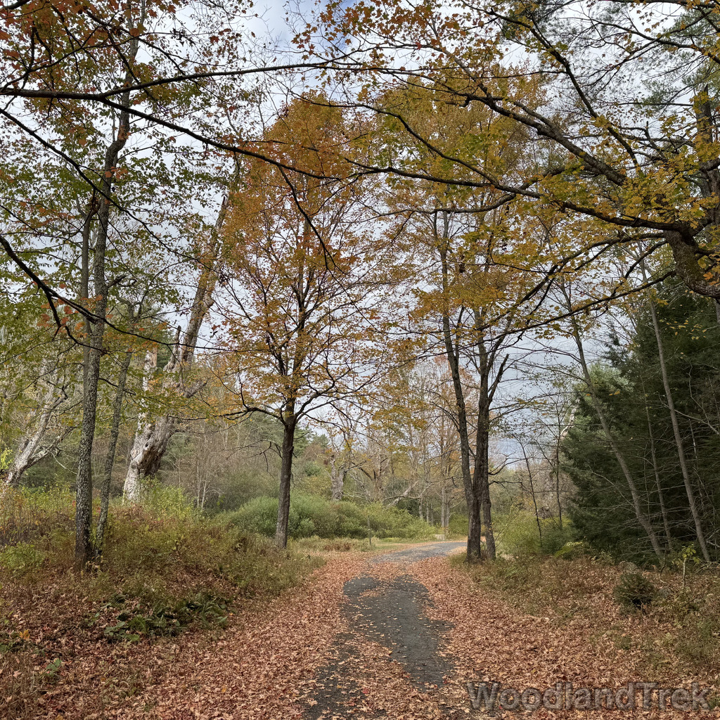 2025-10-11_120008_00