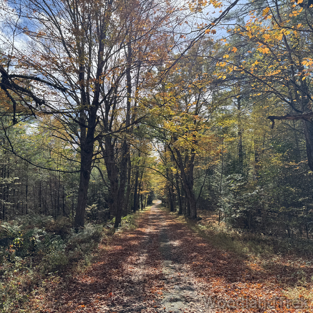 2025-10-11_120554_00