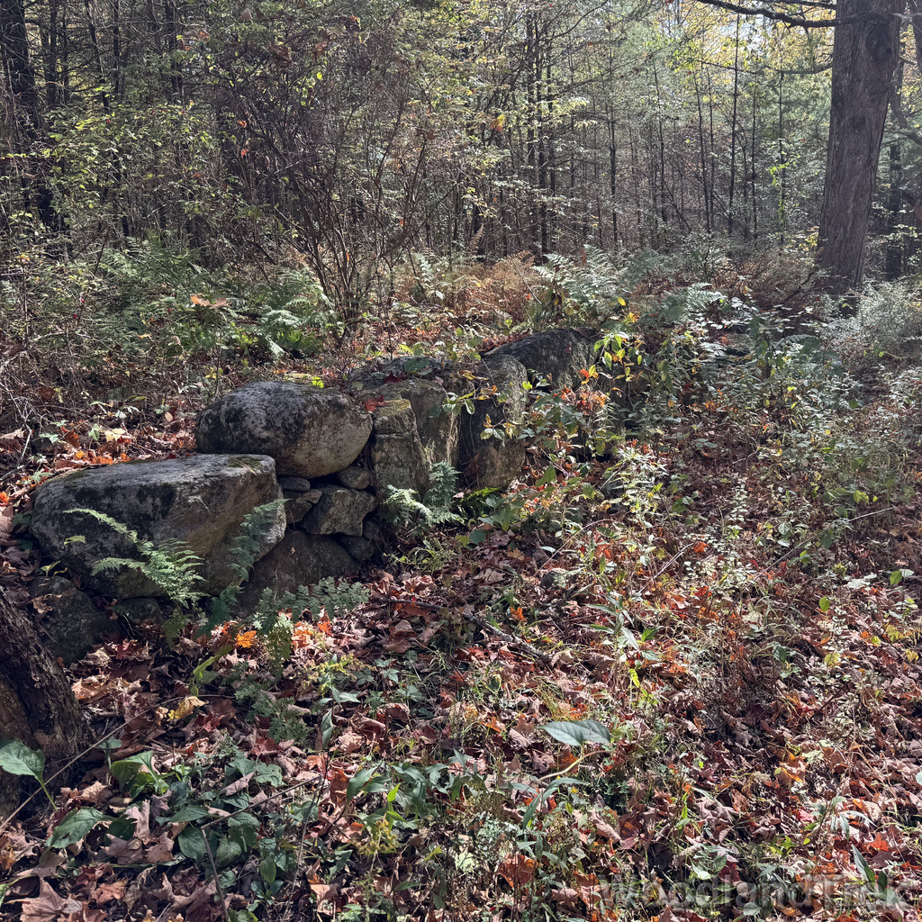 2025-10-11_120607_00