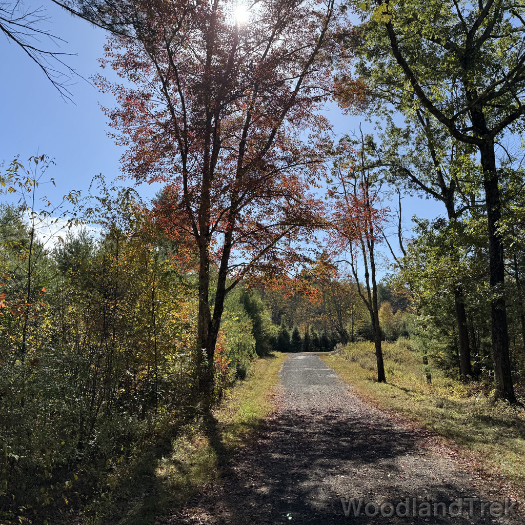 2025-10-11_121213_00