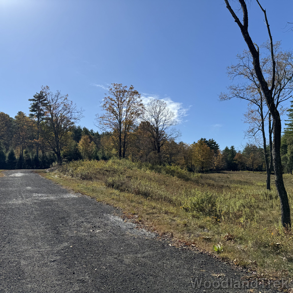 2025-10-11_121241_00