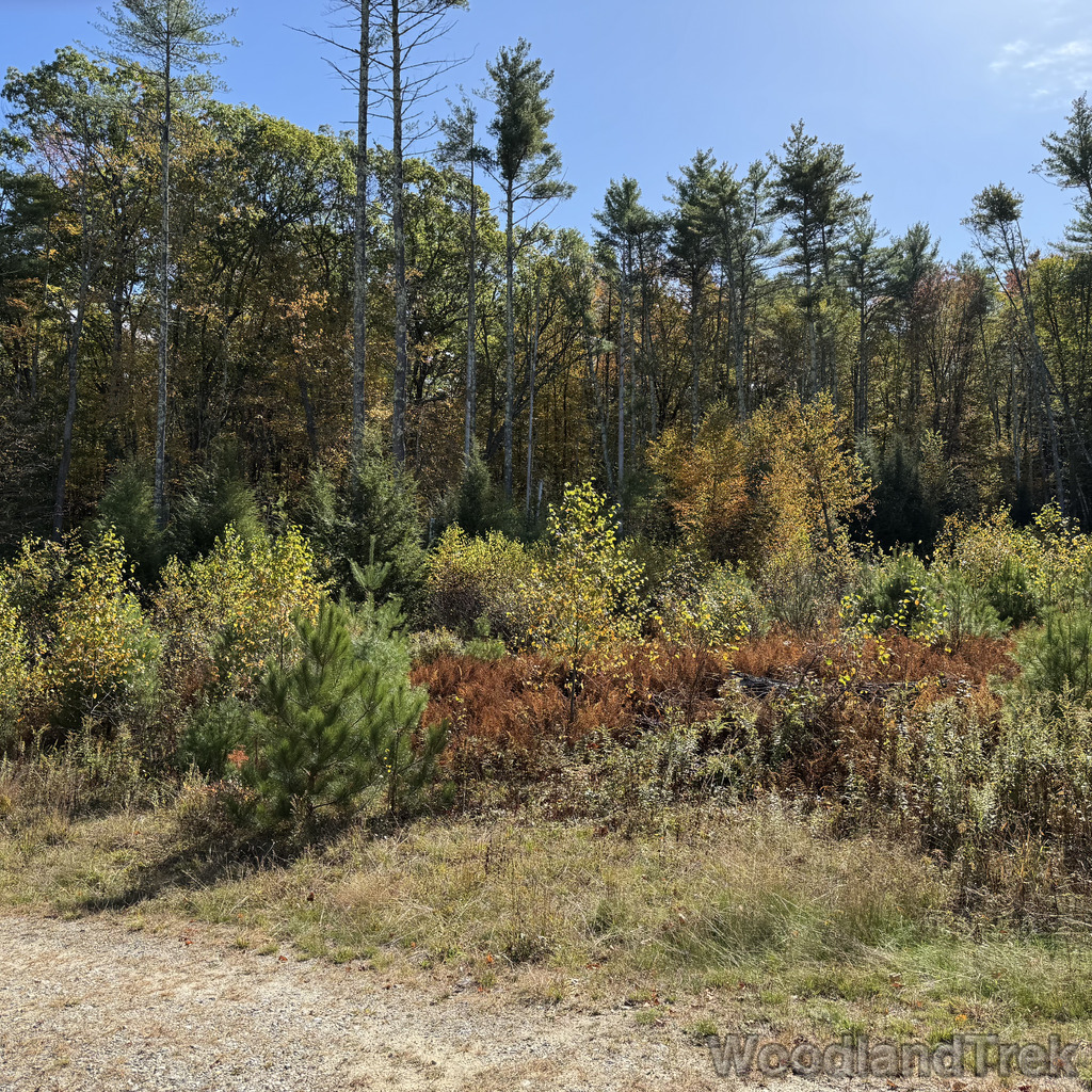 2025-10-11_121429_00