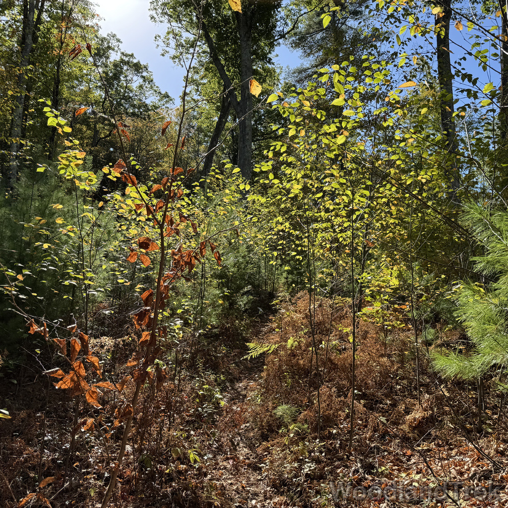 2025-10-11_122504_00