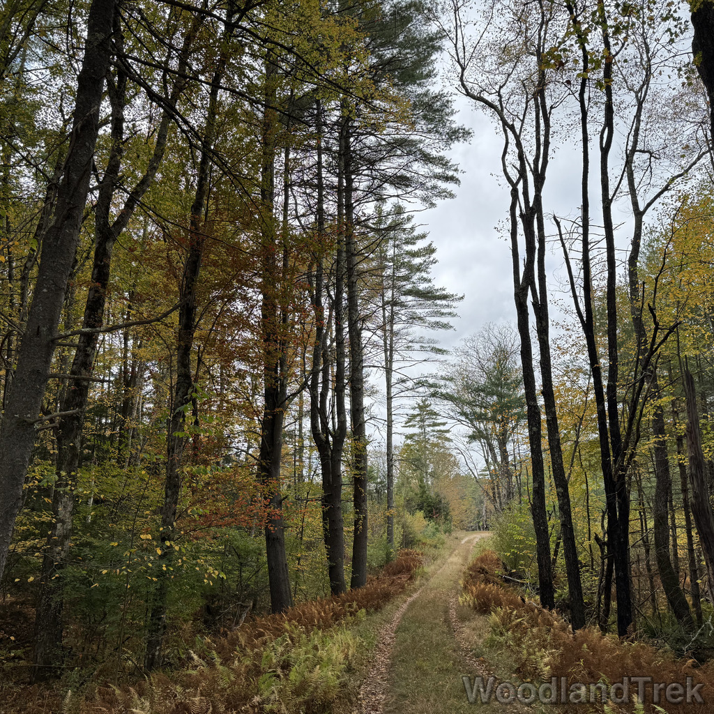 2025-10-11_131849_00